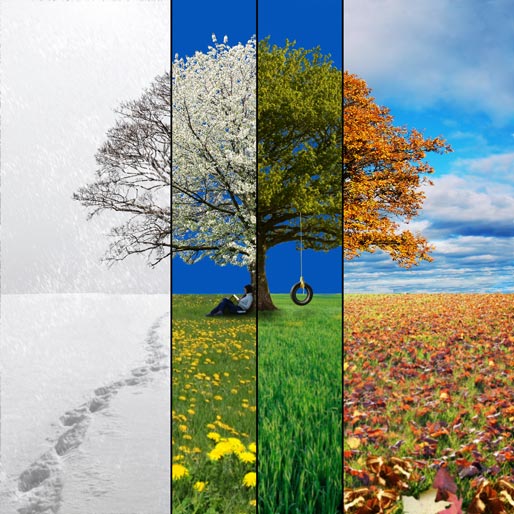 Musim Dingin, Musim Gugur, Musim Panas, dan Musim Semi